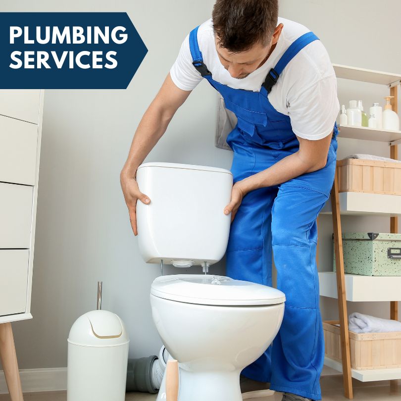 Plumbing Company in Batavia, IA